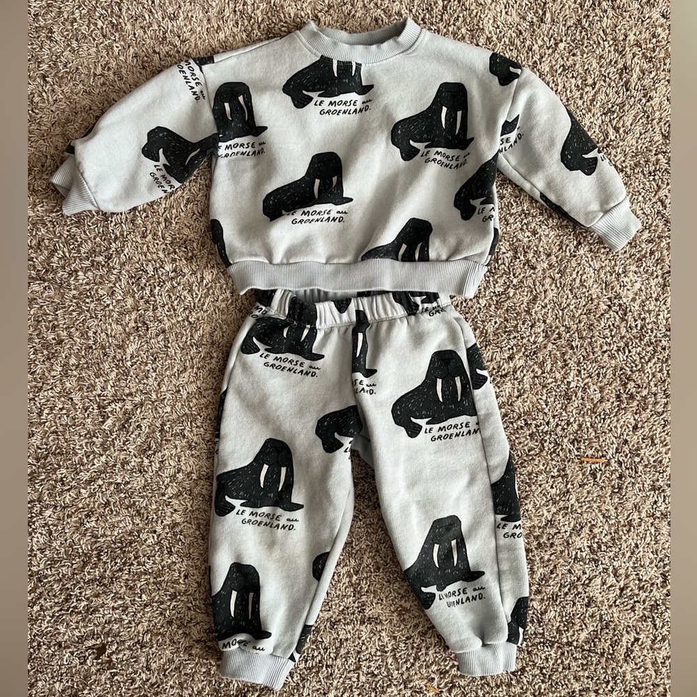 2-3T Zara Walrus sweatsuit